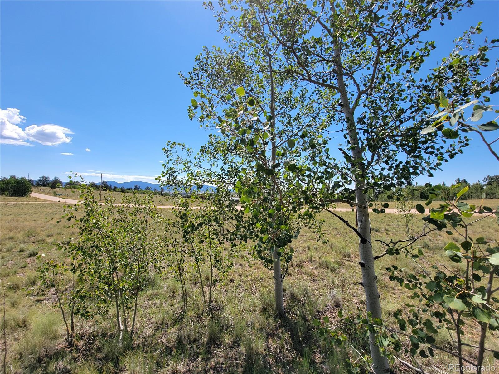 1031 Buffalo Ridge Road Como, CO 80432 - Photo 7 of 19 Gallery Image 7