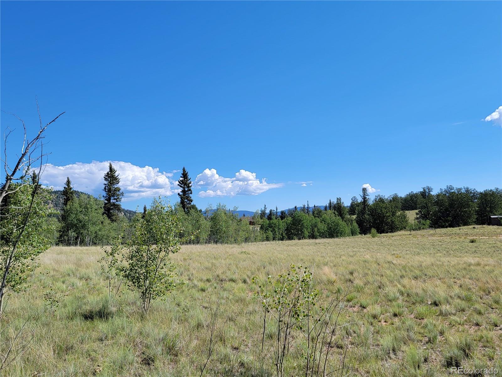 1031 Buffalo Ridge Road Como, CO 80432 - Photo 8 of 19 Gallery Image 8
