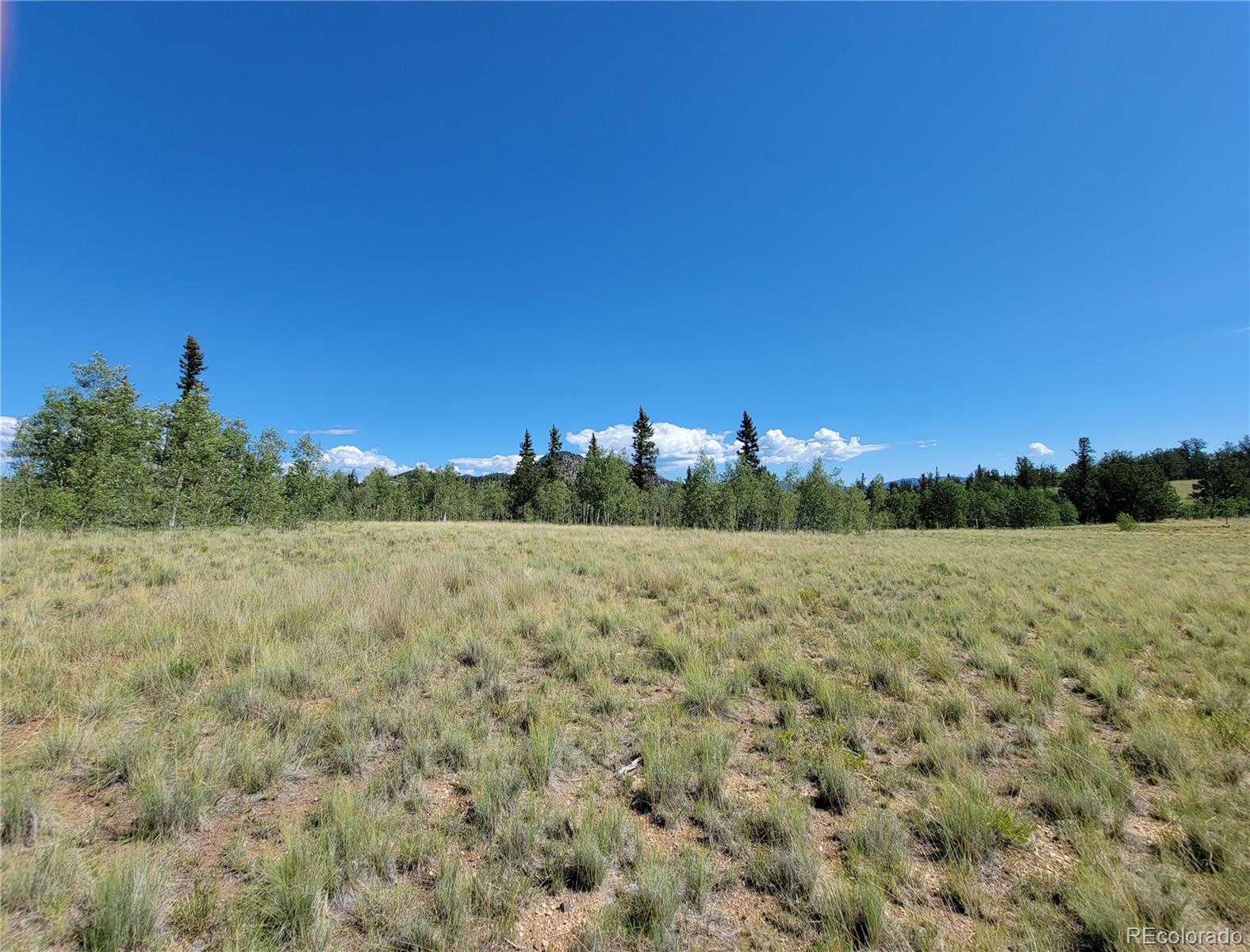 1031 Buffalo Ridge Road Como, CO 80432 - Photo 9 of 19 Gallery Image 9