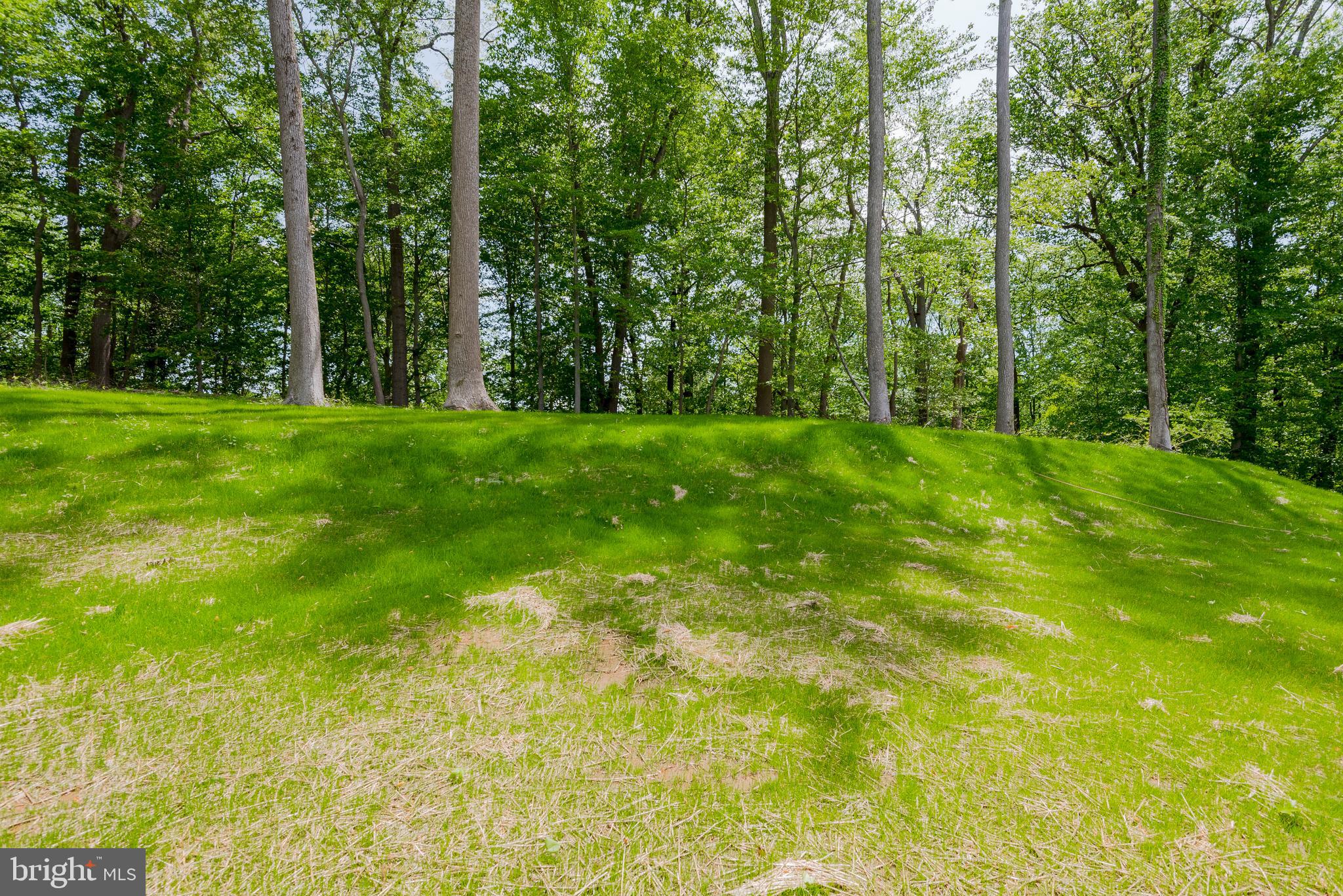 517 Teak Road Crownsville, MD 21032 - Photo 29 of 38 Trees surround the open back yard