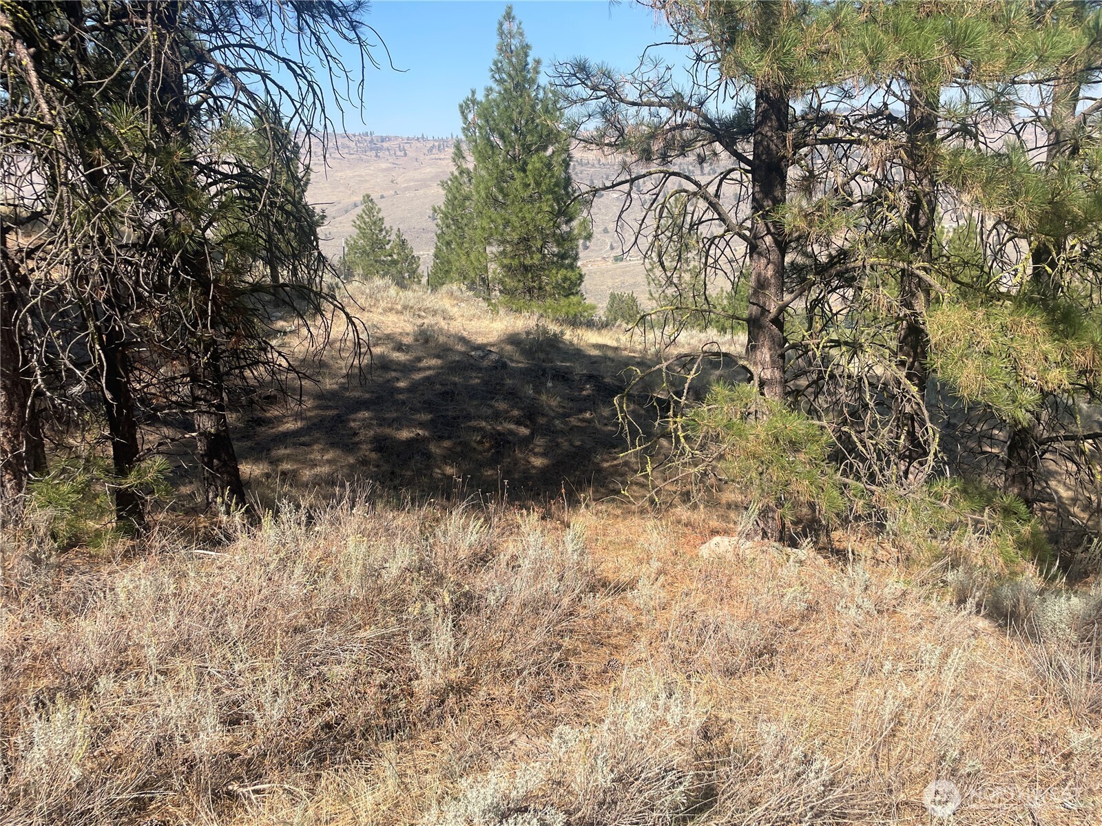 -tbd Reevas Basin Road Tonasket, WA 98855 - Photo 10 of 38