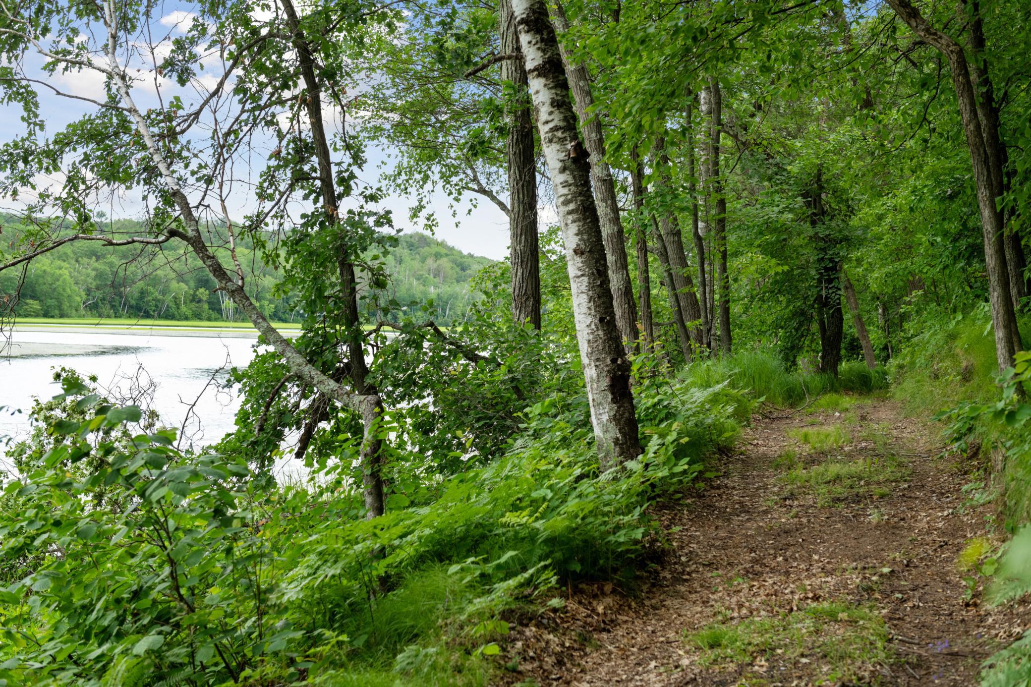 10814 Herschel River Road Brainerd, MN 56401 - Photo 78 of 102 Gallery Image 78