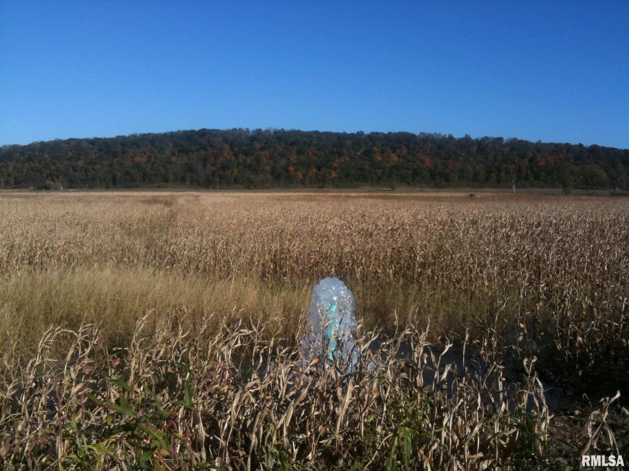 0 North Hillview-Eldred Road Carrollton, IL 62016 - Photo 18 of 63