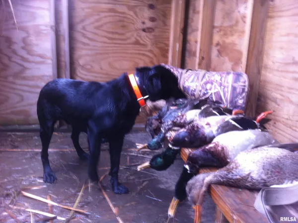 $637,000 | 0 North Hillview-Eldred Road, Carrollton, IL 62016