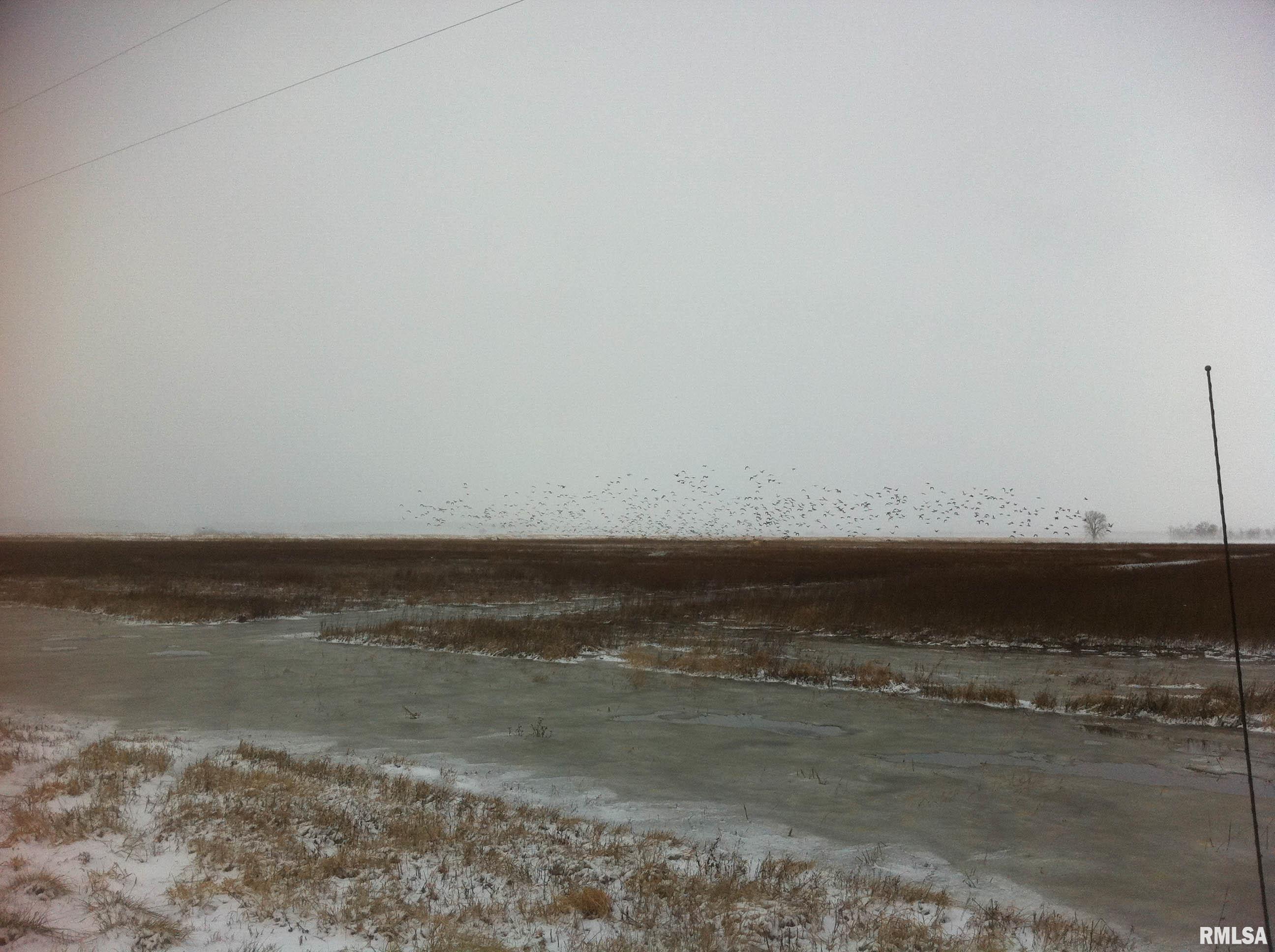 0 North Hillview-Eldred Road Carrollton, IL 62016 - Photo 20 of 63