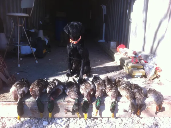 $637,000 | 0 North Hillview-Eldred Road, Carrollton, IL 62016