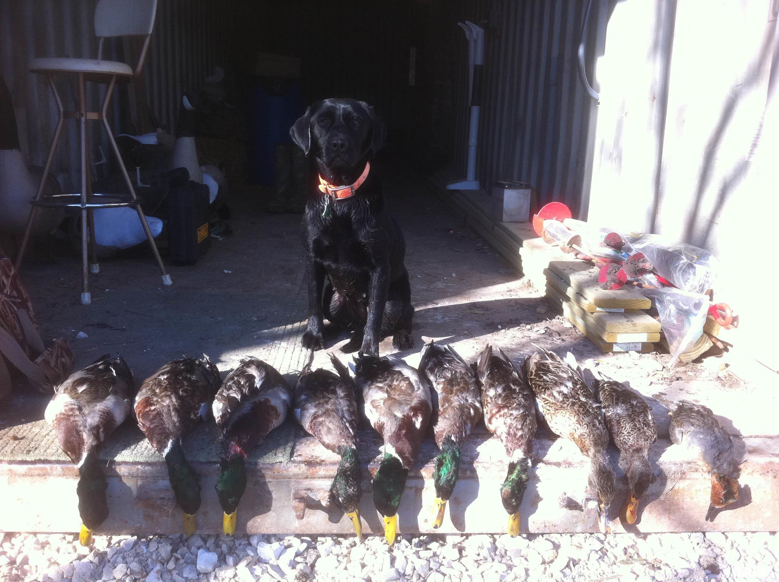 0 North Hillview-Eldred Road Carrollton, IL 62016 - Photo 21 of 63