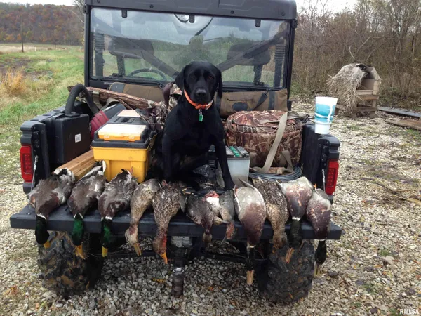 $637,000 | 0 North Hillview-Eldred Road, Carrollton, IL 62016