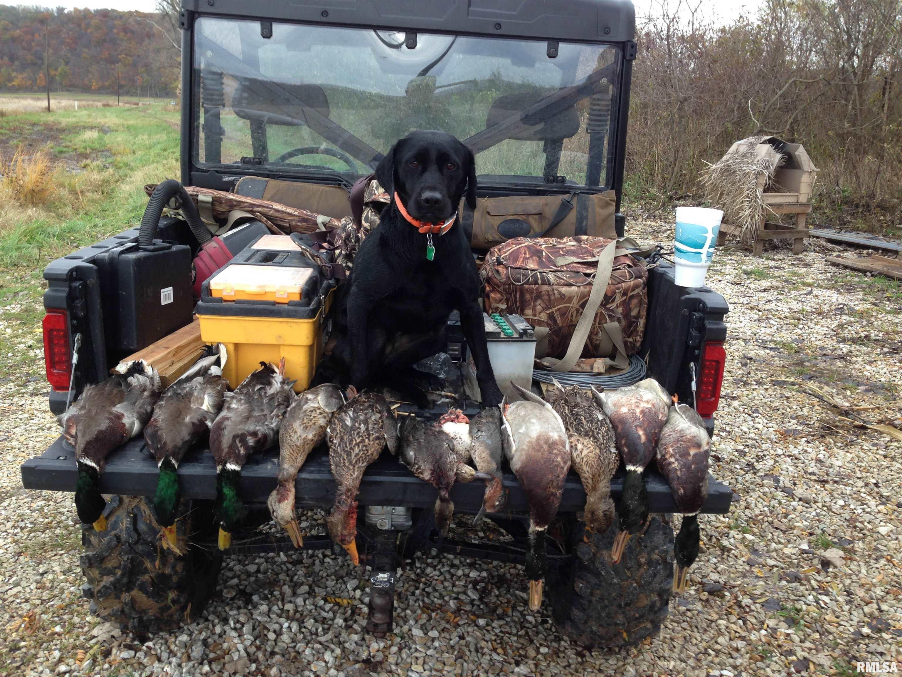 0 North Hillview-Eldred Road Carrollton, IL 62016 - Photo 22 of 63