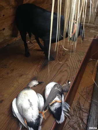 $637,000 | 0 North Hillview-Eldred Road, Carrollton, IL 62016