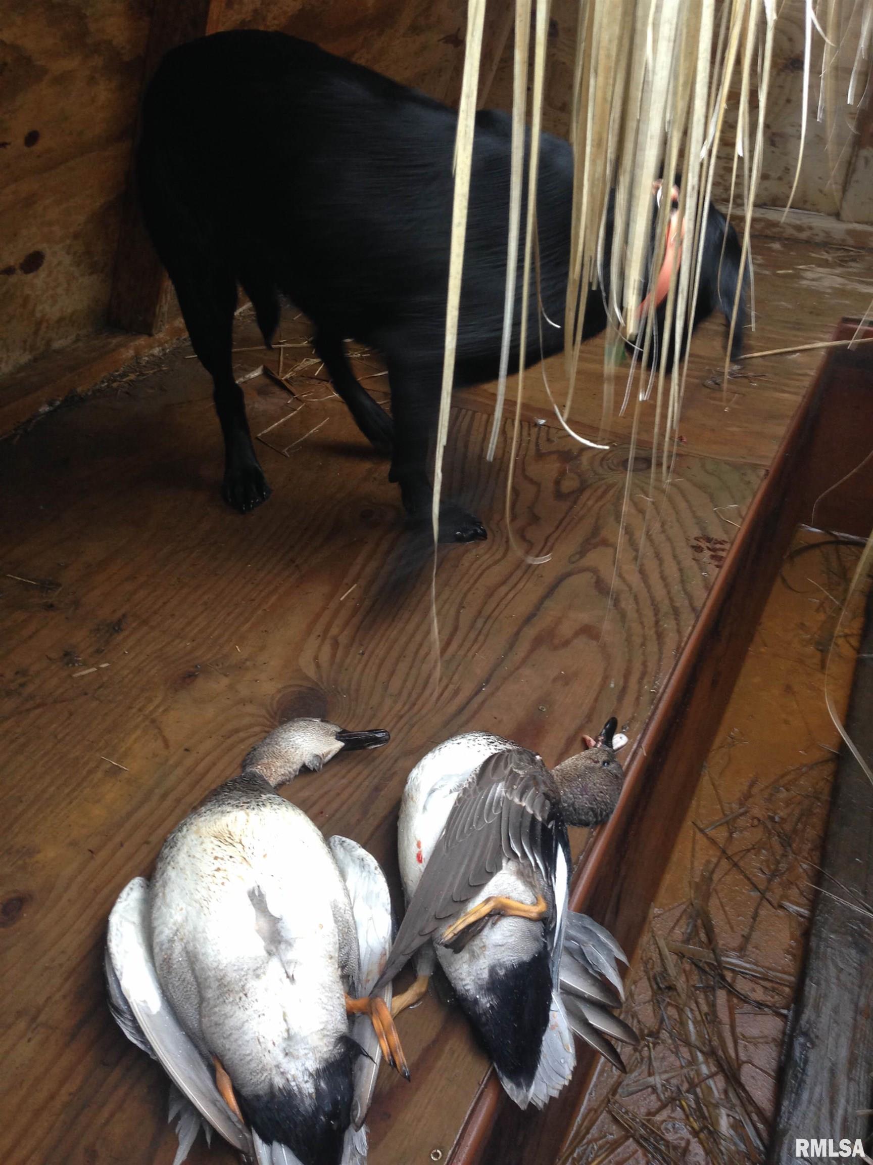 0 North Hillview-Eldred Road Carrollton, IL 62016 - Photo 23 of 63