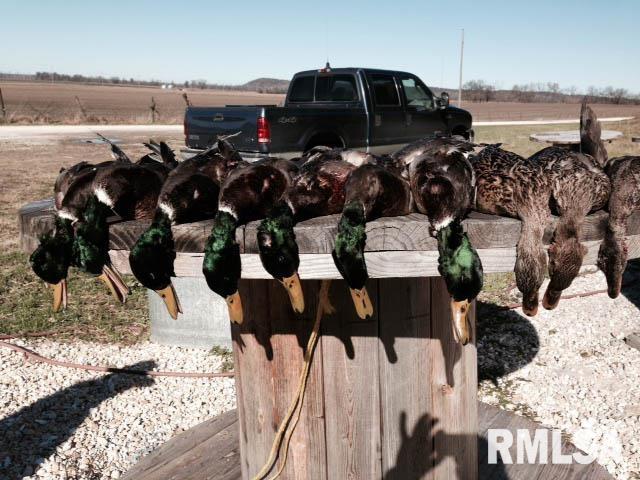 0 North Hillview-Eldred Road Carrollton, IL 62016 - Photo 24 of 63