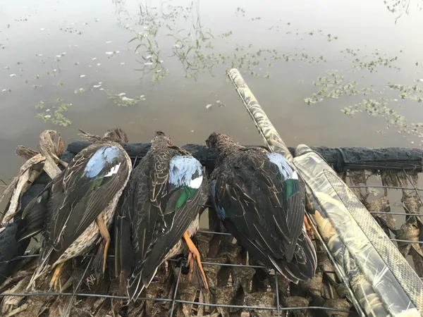 $637,000 | 0 North Hillview-Eldred Road, Carrollton, IL 62016