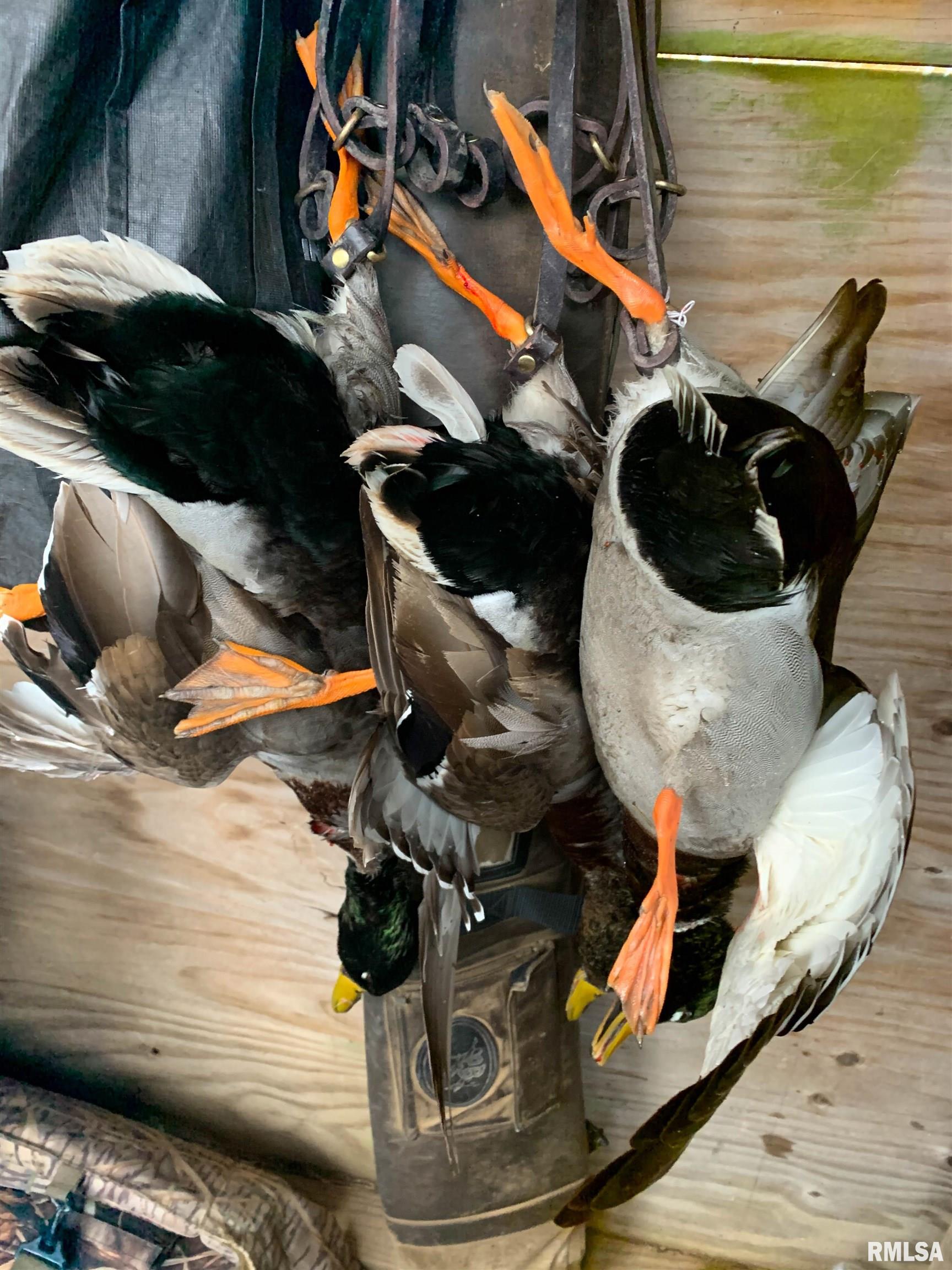 0 North Hillview-Eldred Road Carrollton, IL 62016 - Photo 26 of 63