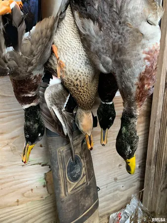 $637,000 | 0 North Hillview-Eldred Road, Carrollton, IL 62016