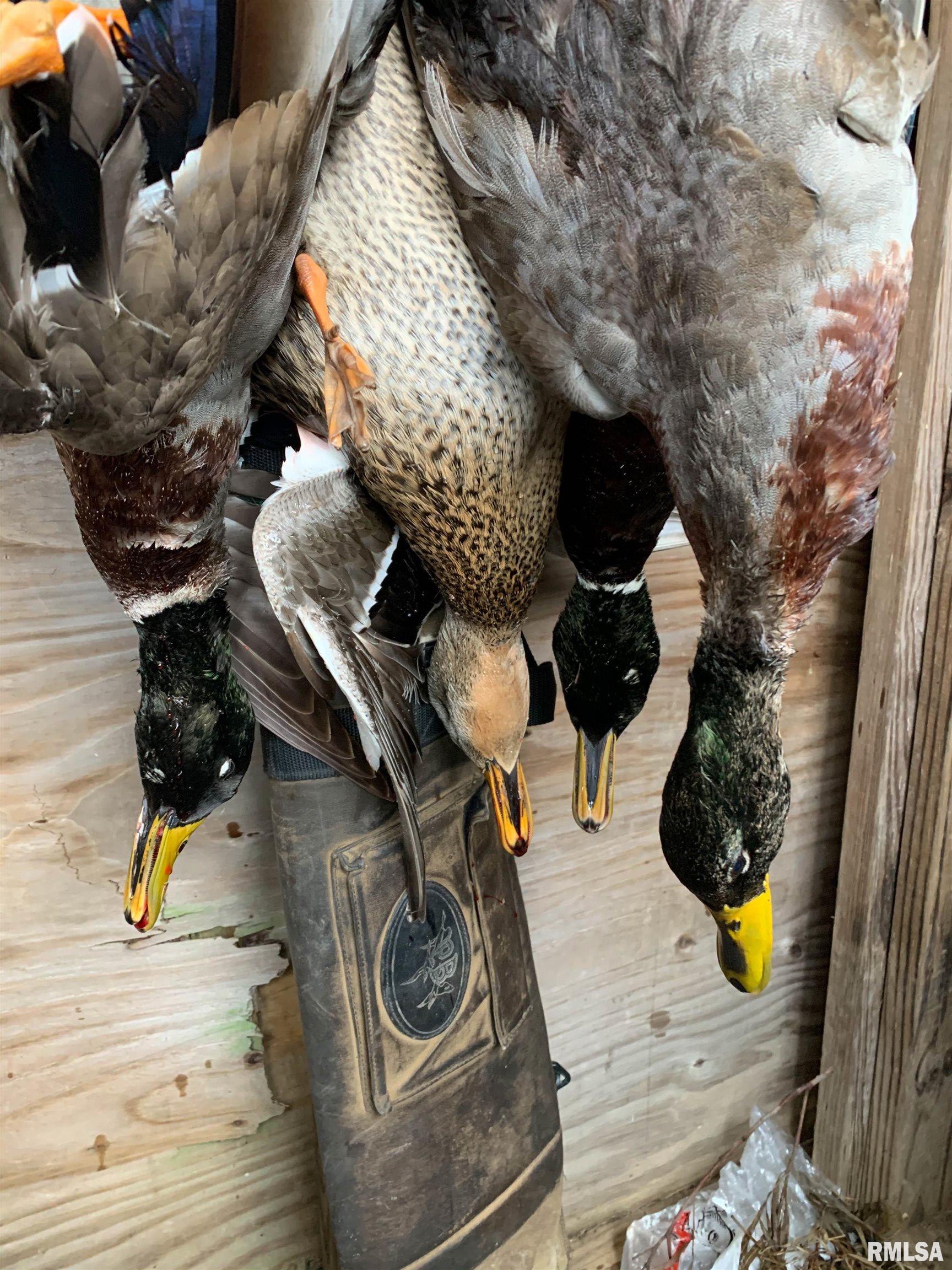 0 North Hillview-Eldred Road Carrollton, IL 62016 - Photo 27 of 63