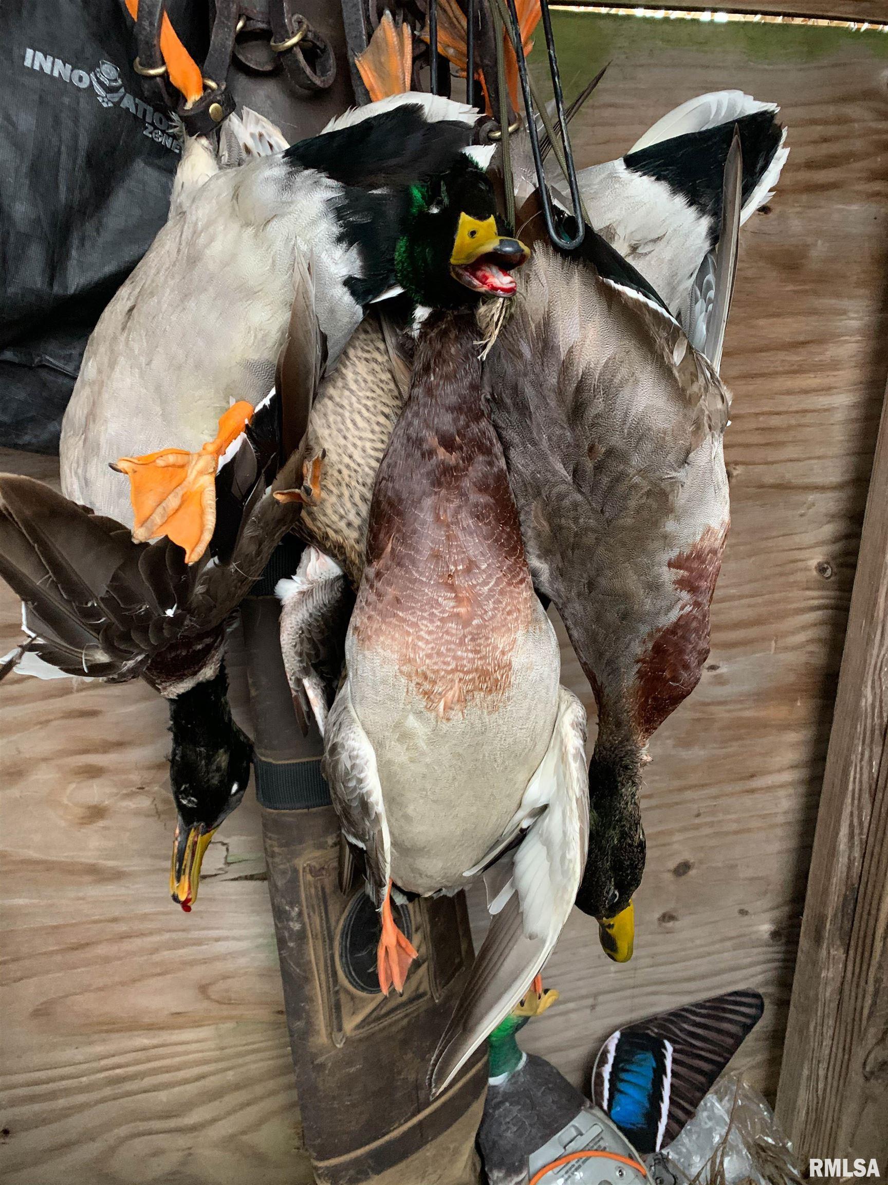 0 North Hillview-Eldred Road Carrollton, IL 62016 - Photo 28 of 63