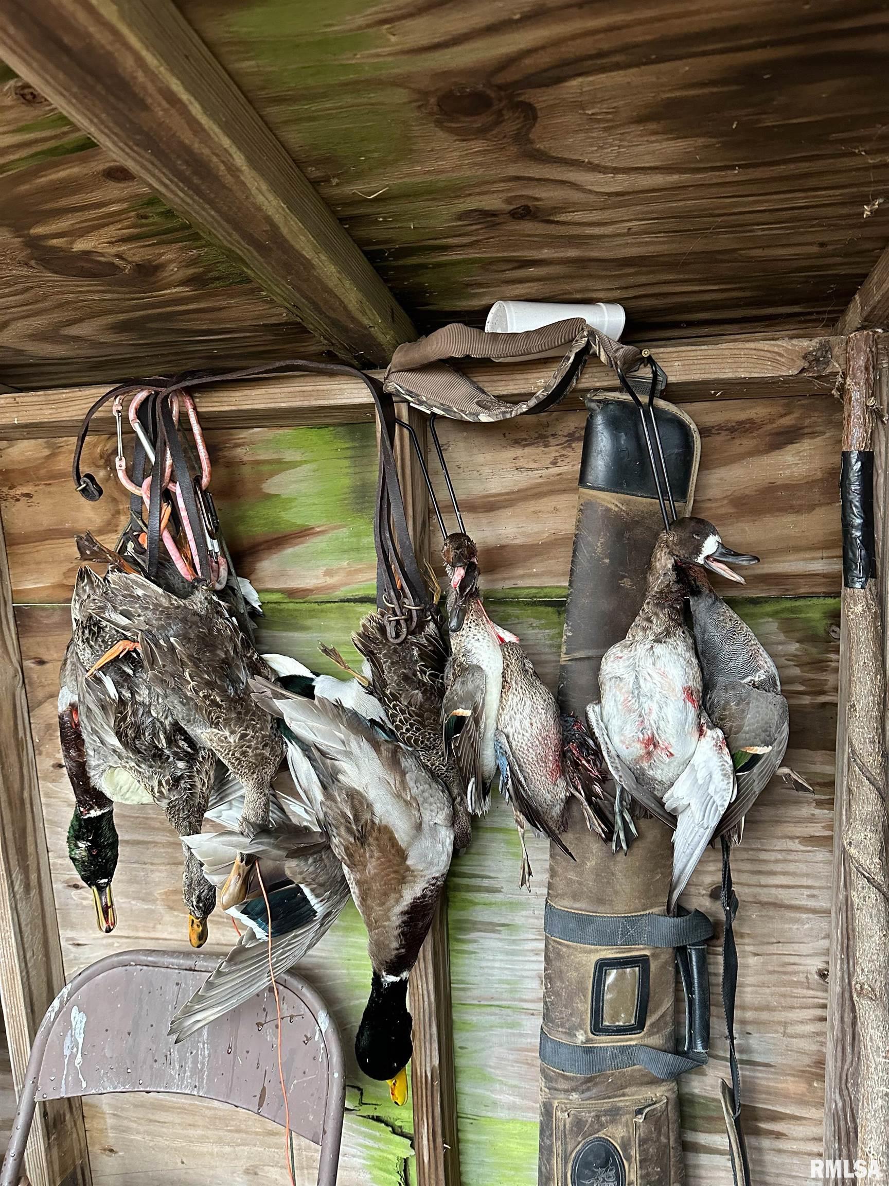 0 North Hillview-Eldred Road Carrollton, IL 62016 - Photo 30 of 63