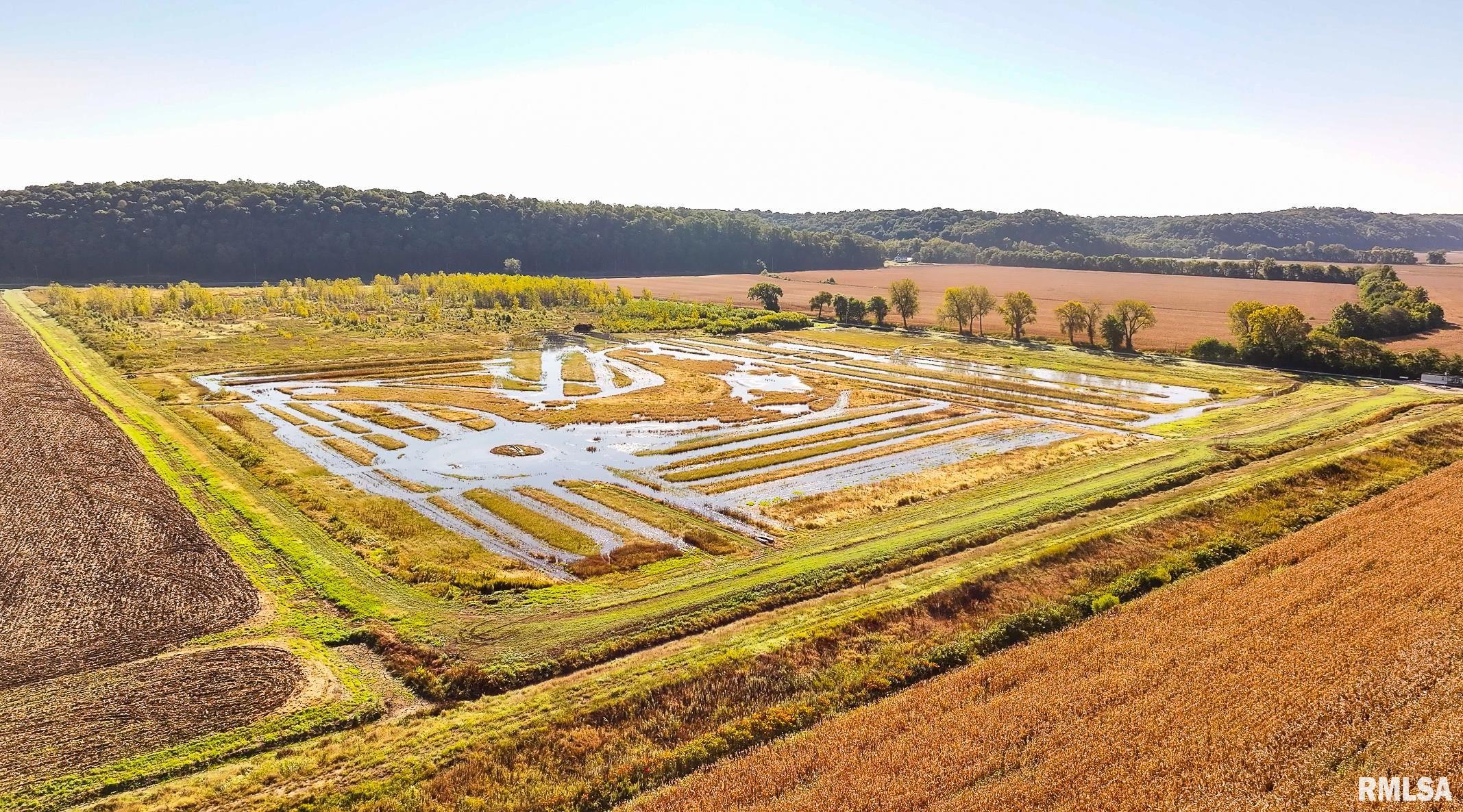 0 North Hillview-Eldred Road Carrollton, IL 62016 - Photo 3 of 63