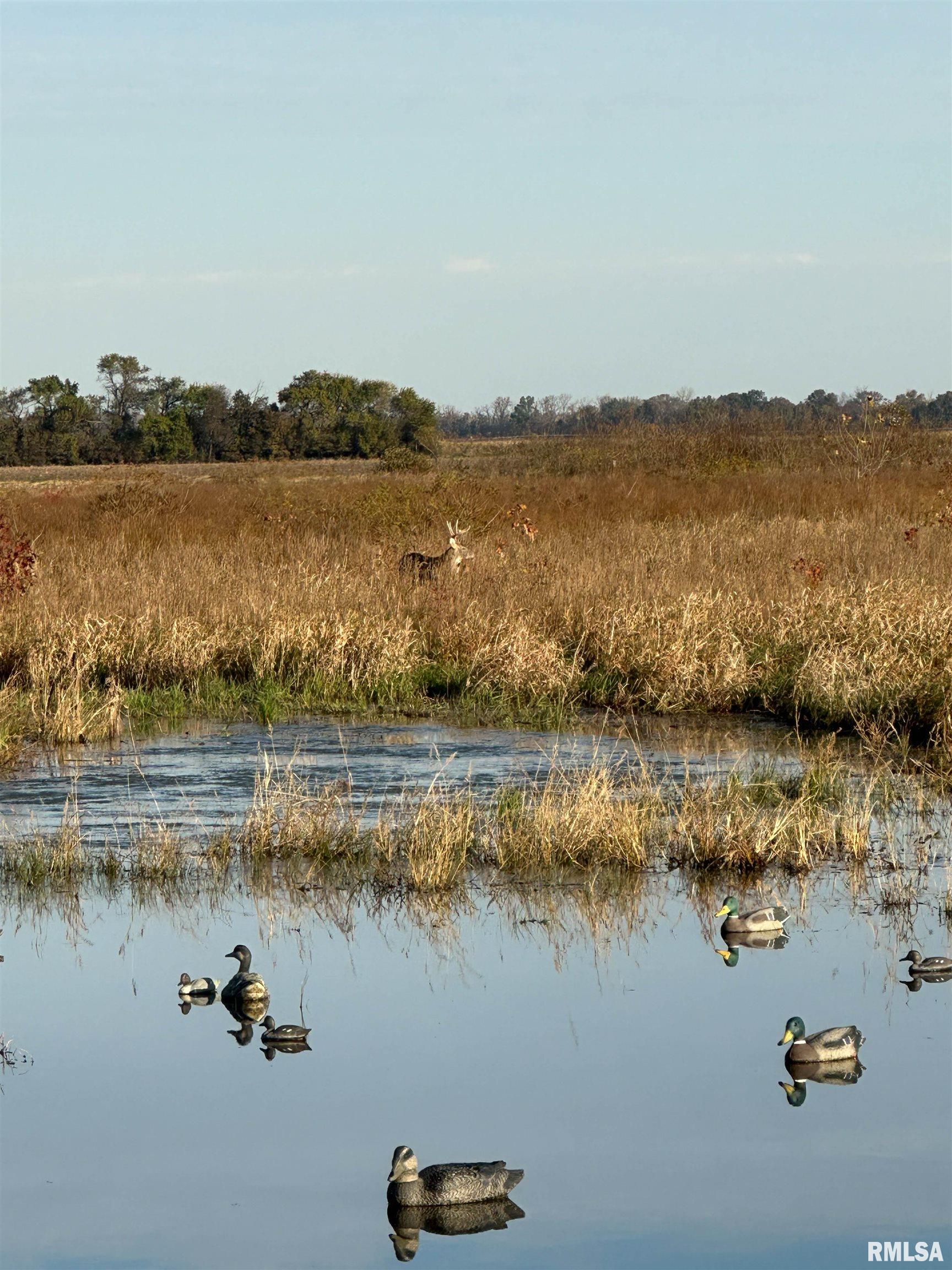 0 North Hillview-Eldred Road Carrollton, IL 62016 - Photo 34 of 63