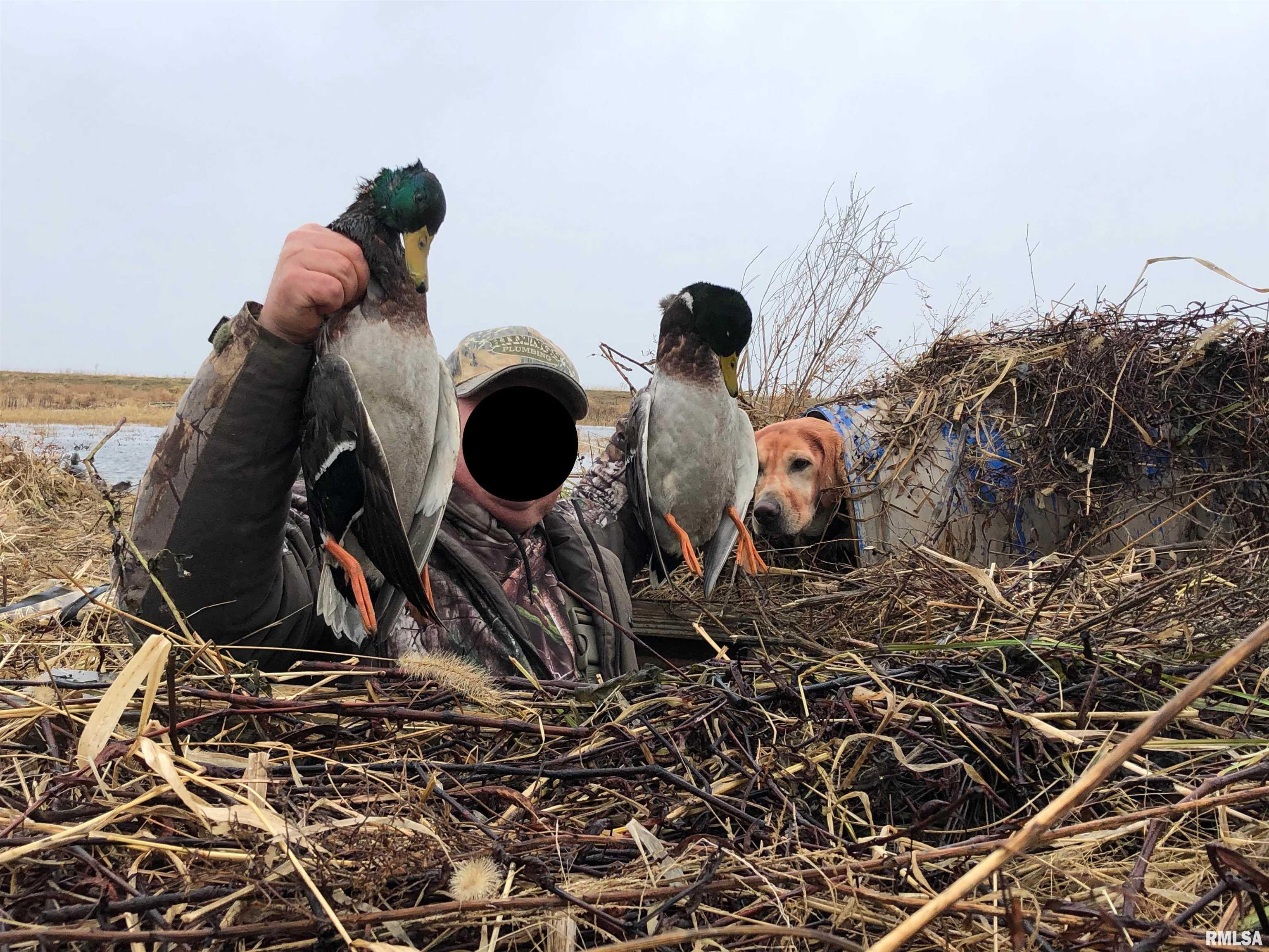 0 North Hillview-Eldred Road Carrollton, IL 62016 - Photo 47 of 63