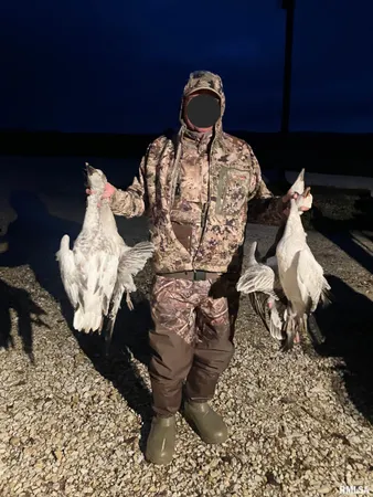 $637,000 | 0 North Hillview-Eldred Road, Carrollton, IL 62016