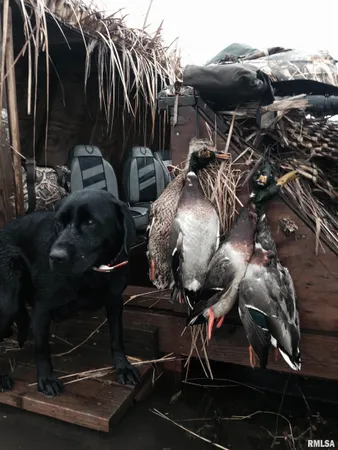 $637,000 | 0 North Hillview-Eldred Road, Carrollton, IL 62016