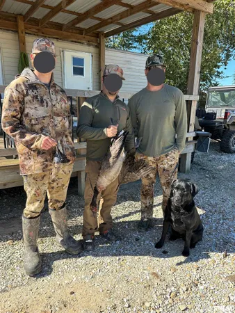 $637,000 | 0 North Hillview-Eldred Road, Carrollton, IL 62016