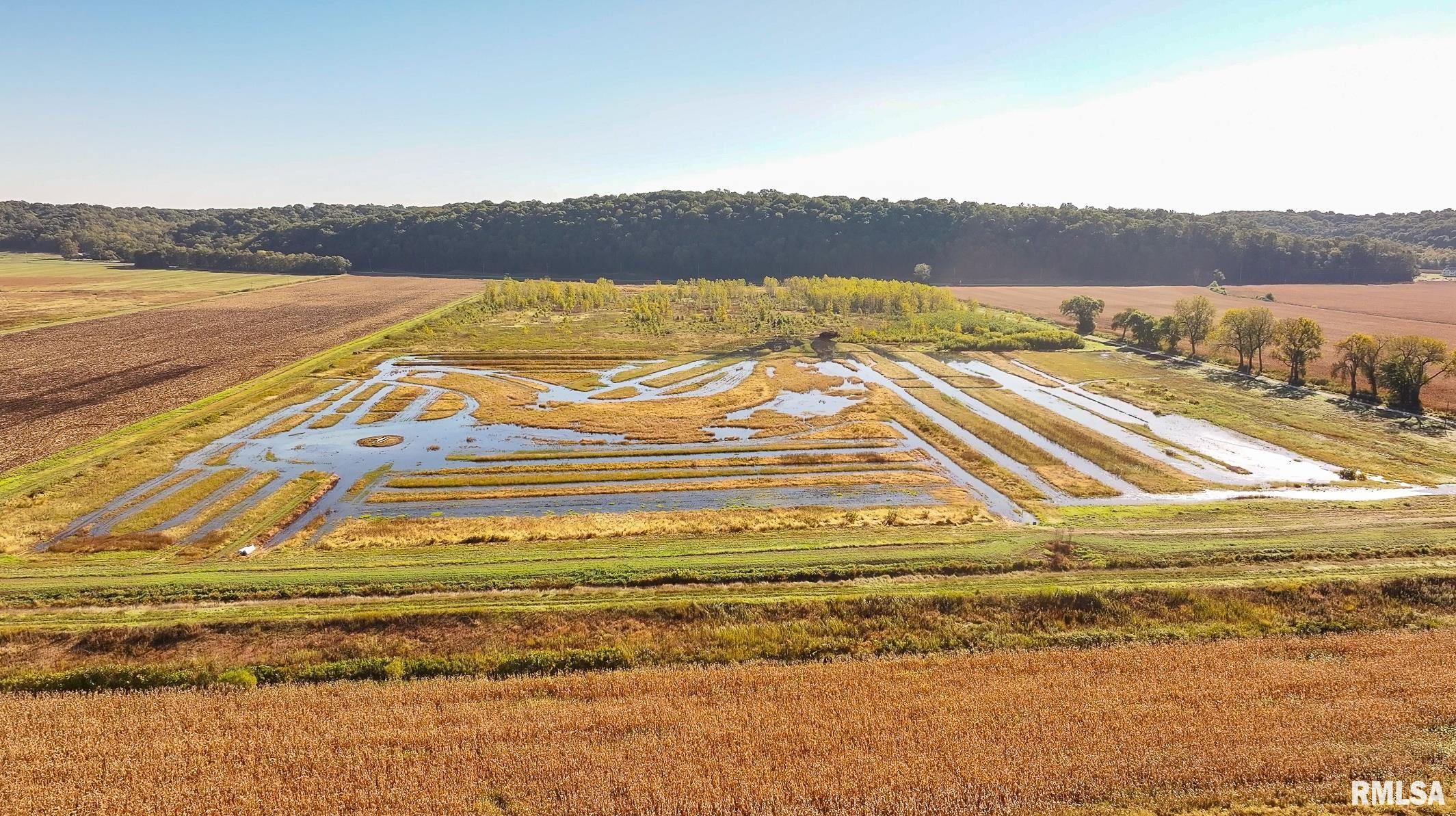 0 North Hillview-Eldred Road Carrollton, IL 62016 - Photo 6 of 63