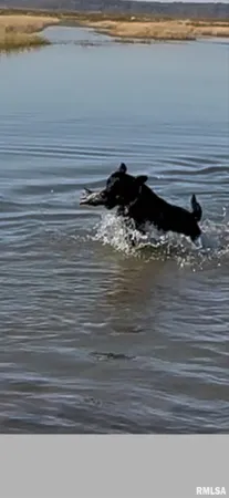 $637,000 | 0 North Hillview-Eldred Road, Carrollton, IL 62016