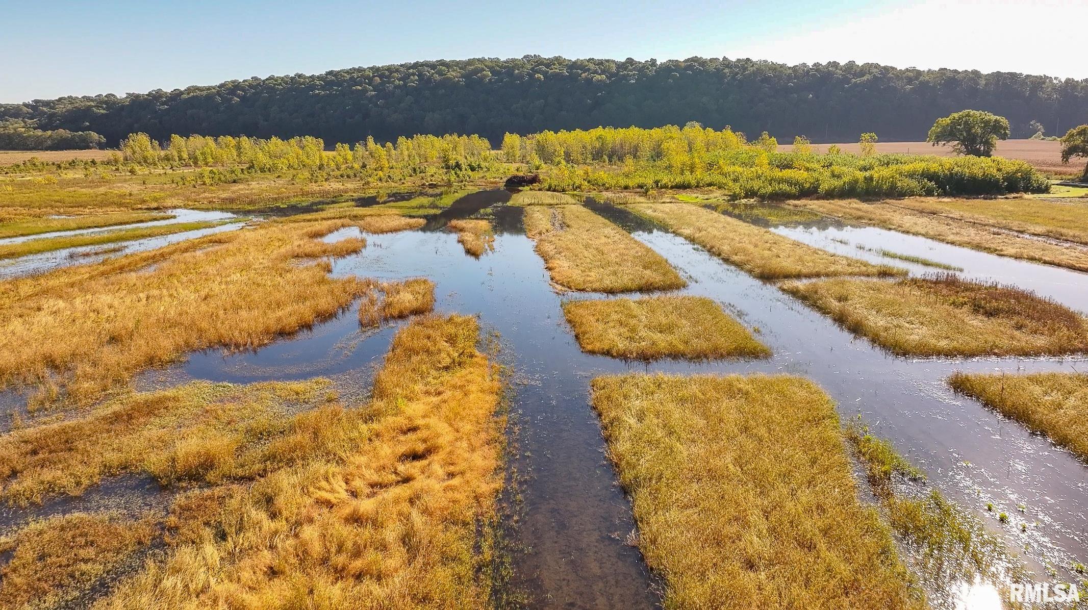0 North Hillview-Eldred Road Carrollton, IL 62016 - Photo 9 of 63