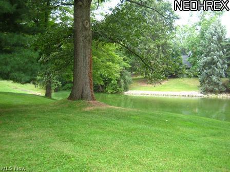 734 Akron Road Wadsworth, OH 44281 - Photo 7 of 20 Gallery Image 7