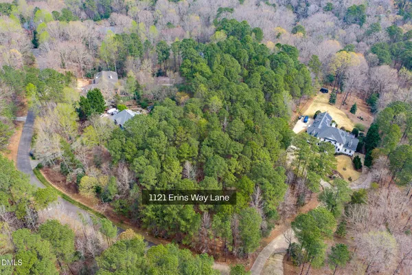 a view of a garden with a tree