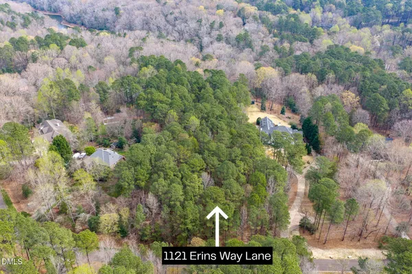 a view of a city with lush green forest