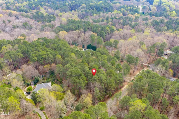 a view of a bunch of flowers