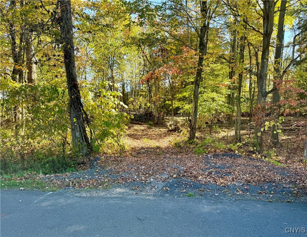 County Line Road Fulton, NY 13069 - Photo 2 of 9