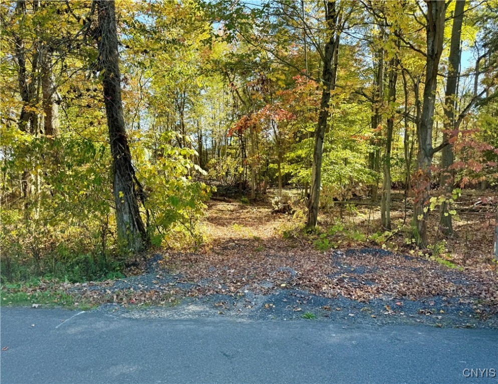 County Line Road Fulton, NY 13069 - Photo 2 of 9