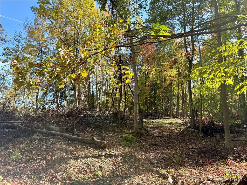 County Line Road Fulton, NY 13069 - Photo 3 of 9