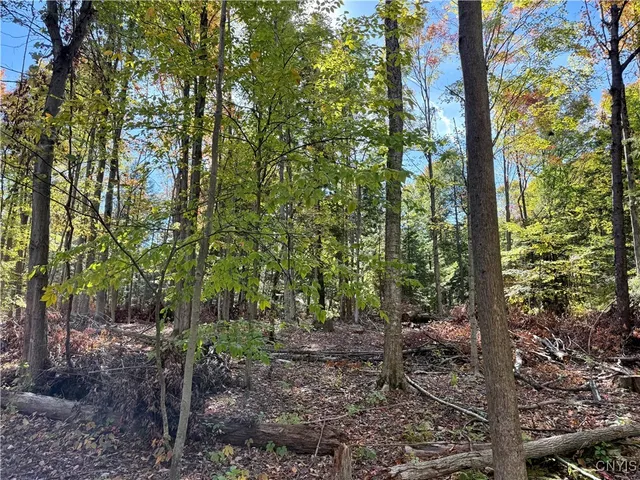 $64,909 | County Line Road, Fulton, NY 13069