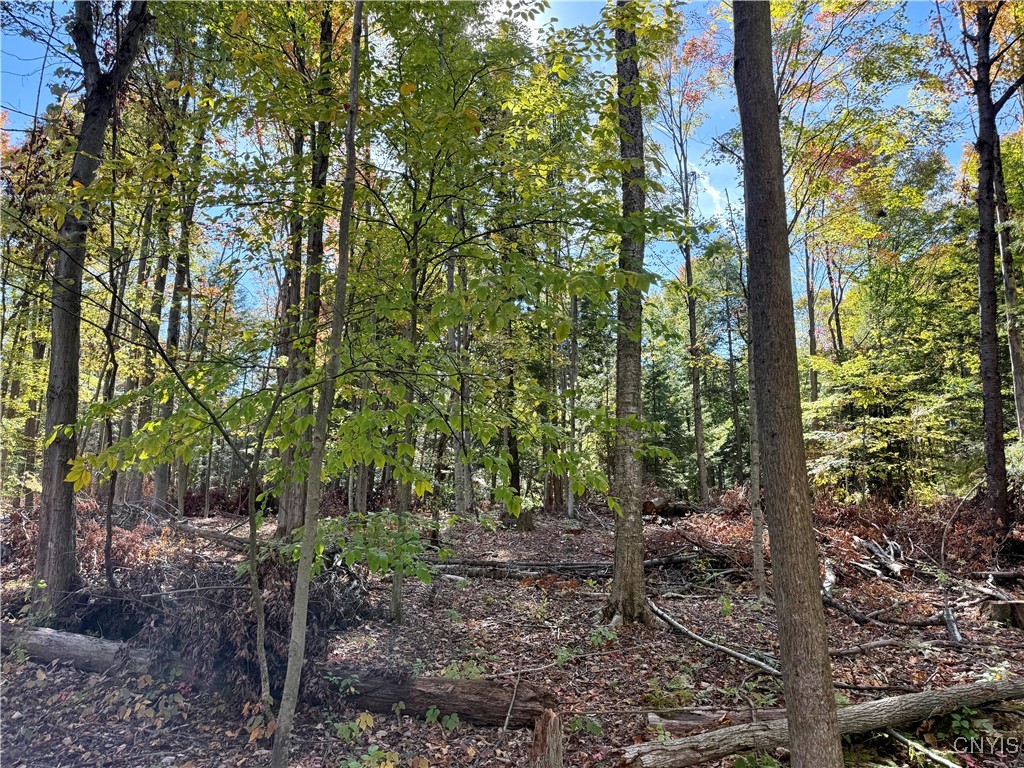 County Line Road Fulton, NY 13069 - Photo 4 of 9