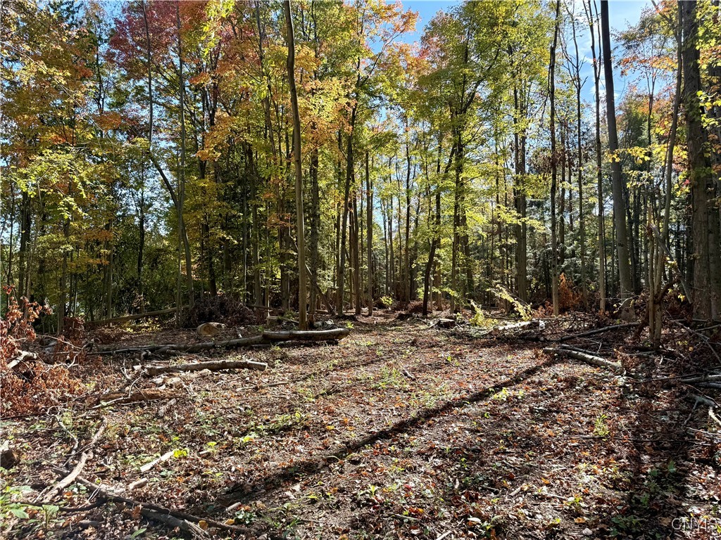 County Line Road Fulton, NY 13069 - Photo 5 of 9