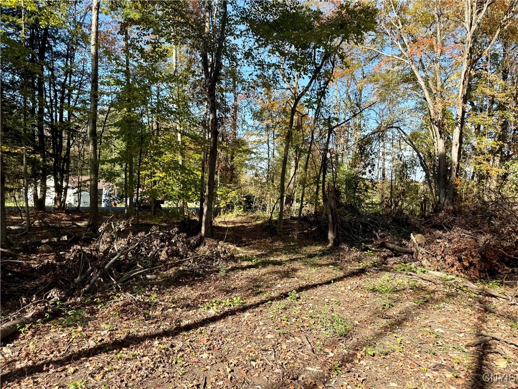 County Line Road Fulton, NY 13069 - Photo 6 of 9