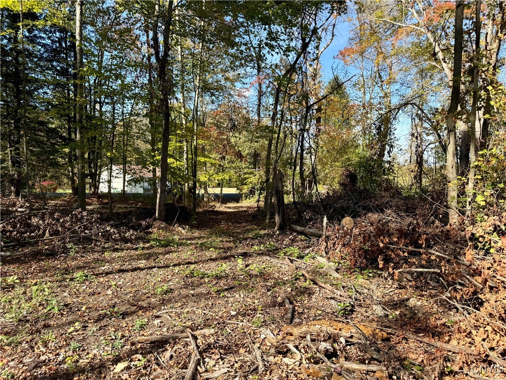 County Line Road Fulton, NY 13069 - Photo 7 of 9