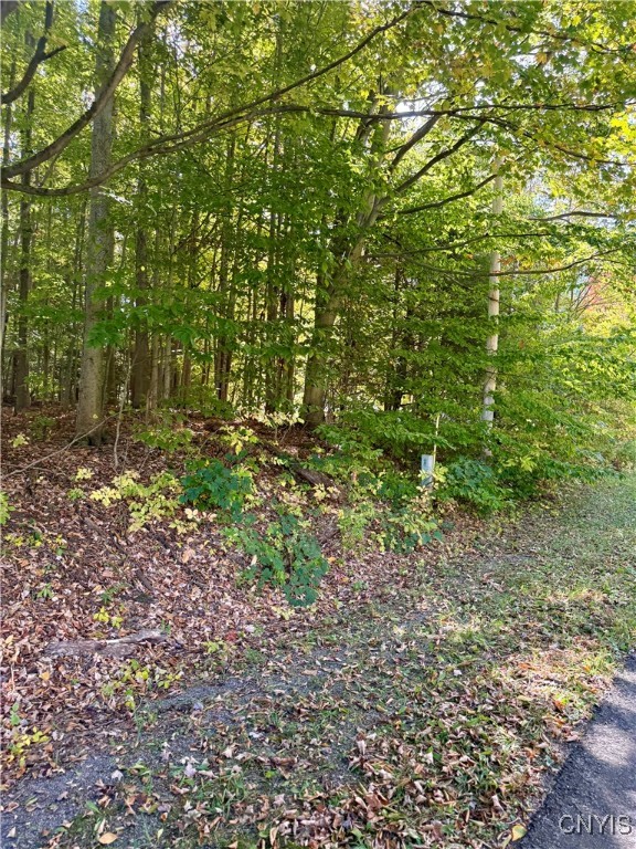 County Line Road Fulton, NY 13069 - Photo 8 of 9