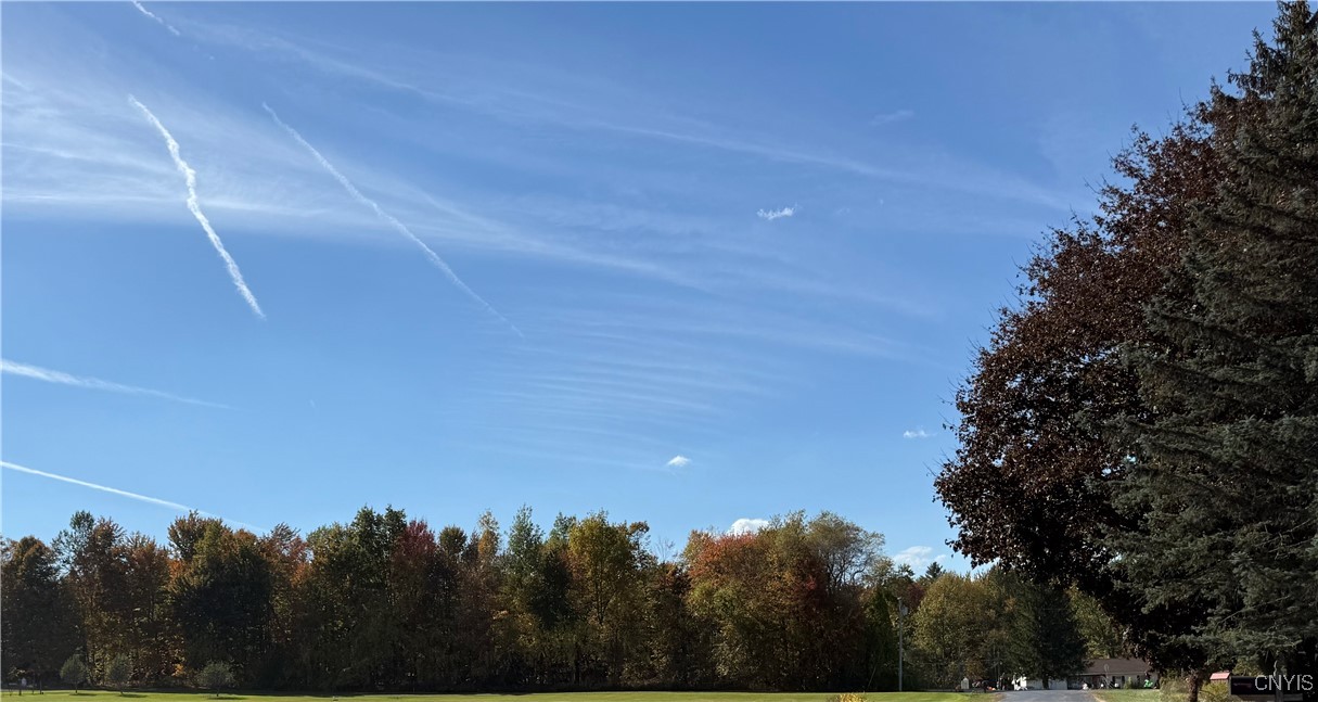 County Line Road Fulton, NY 13069 - Photo 9 of 9