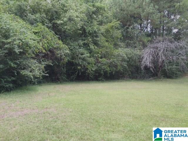 3505 Spring Valley Road Anniston, AL 36207 - Photo 38 of 45