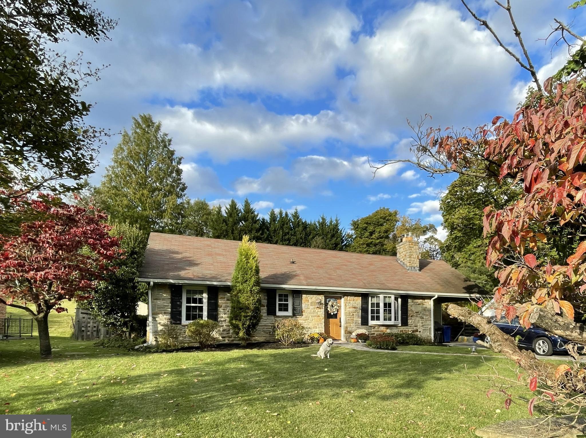 1806 Roland Avenue Ruxton, MD 21204 - Photo 43 of 44 Bring you Puppy!