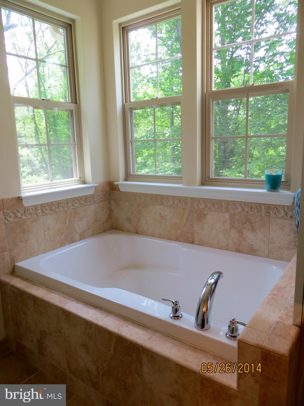 7149 Masters Road New Market, MD 21774 - Photo 6 of 8 Bath (Master)