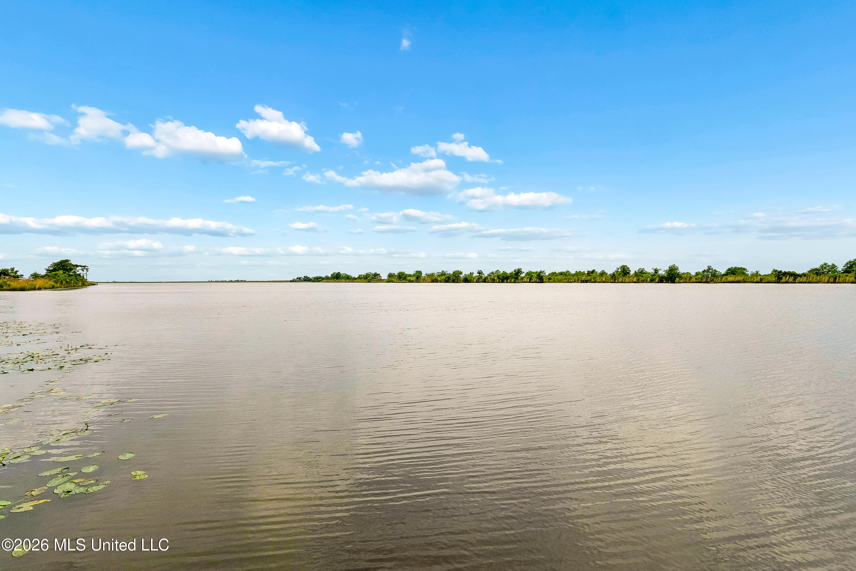 4115 Riverside Drive Pearlington, MS 39572 - Photo 21 of 26 21