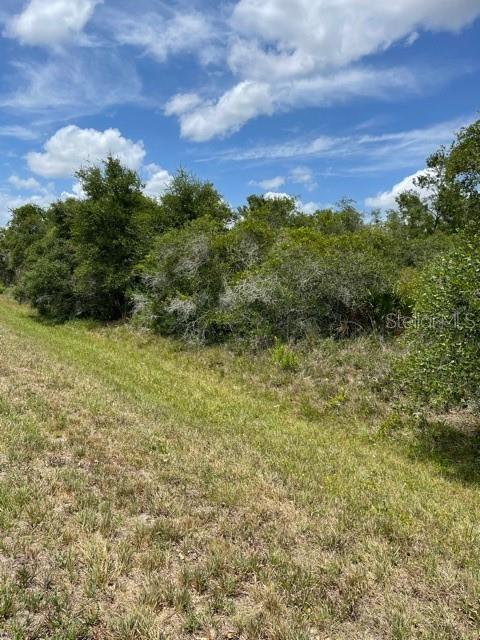 33514 Washington Loop Road Punta Gorda, FL 33982 - Photo 2 of 5